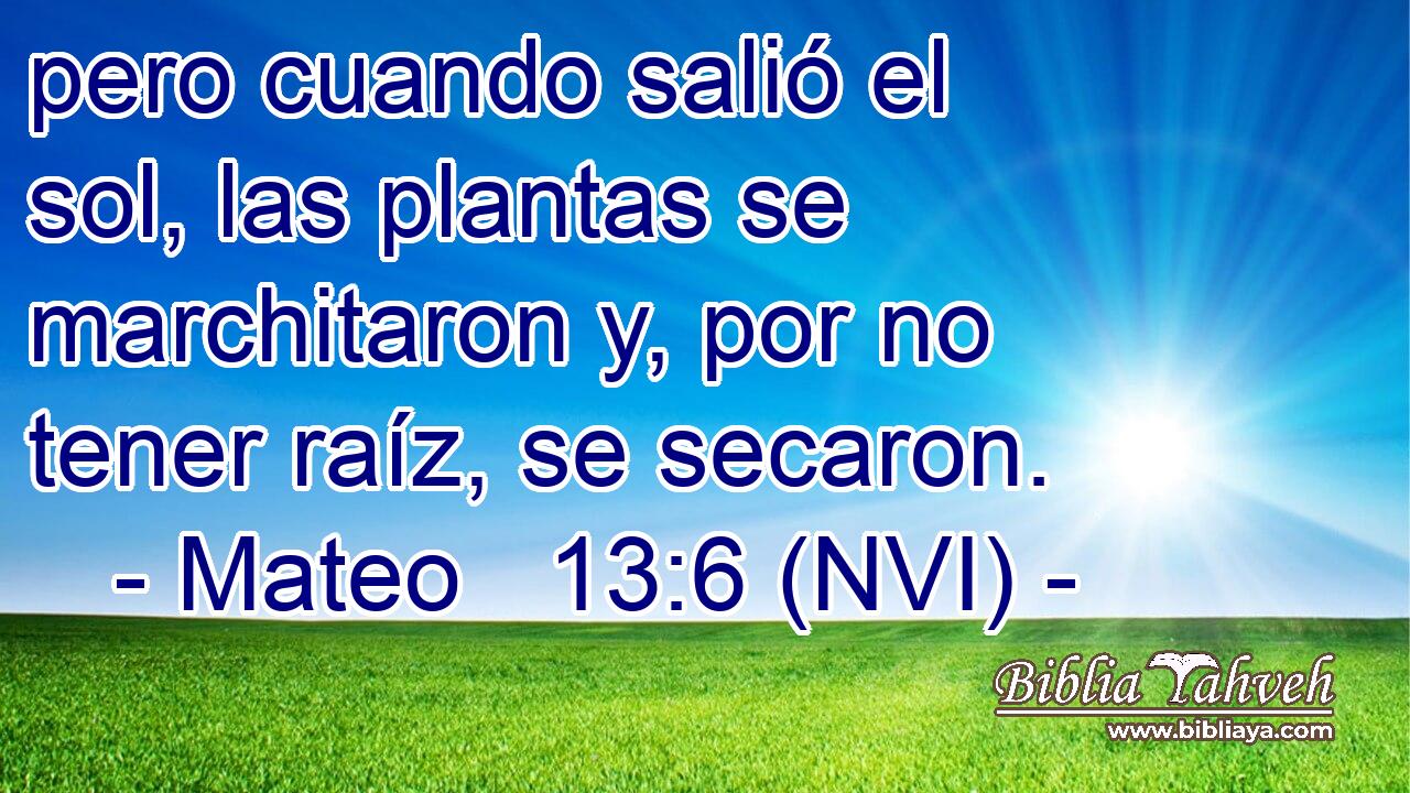  pero cuando salió el sol, las plantas se marchitaron y, por no tener raíz, se secaron. 