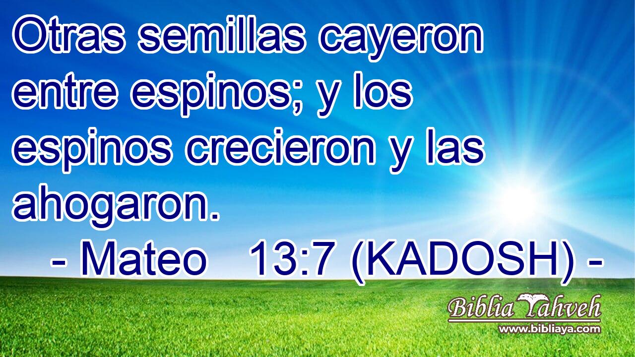  Otras semillas cayeron entre espinos; y los espinos crecieron y las ahogaron. 