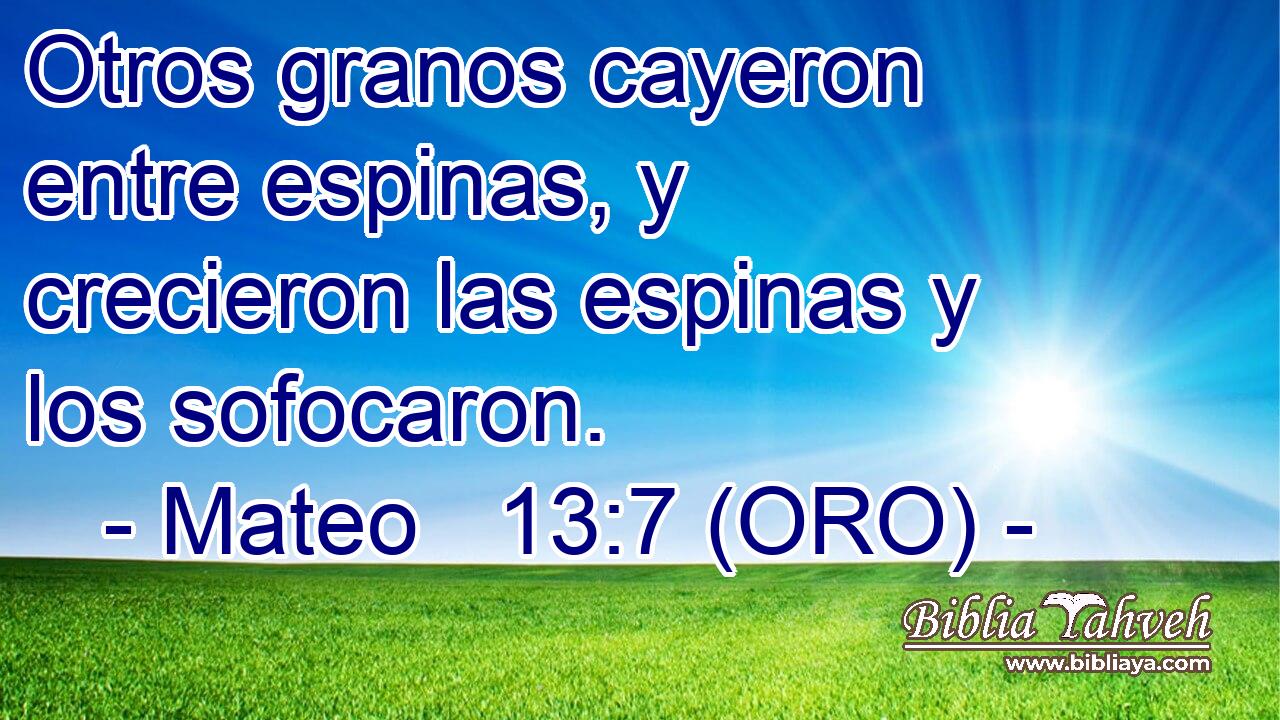  Otros granos cayeron entre espinas, y crecieron las espinas y los sofocaron. 