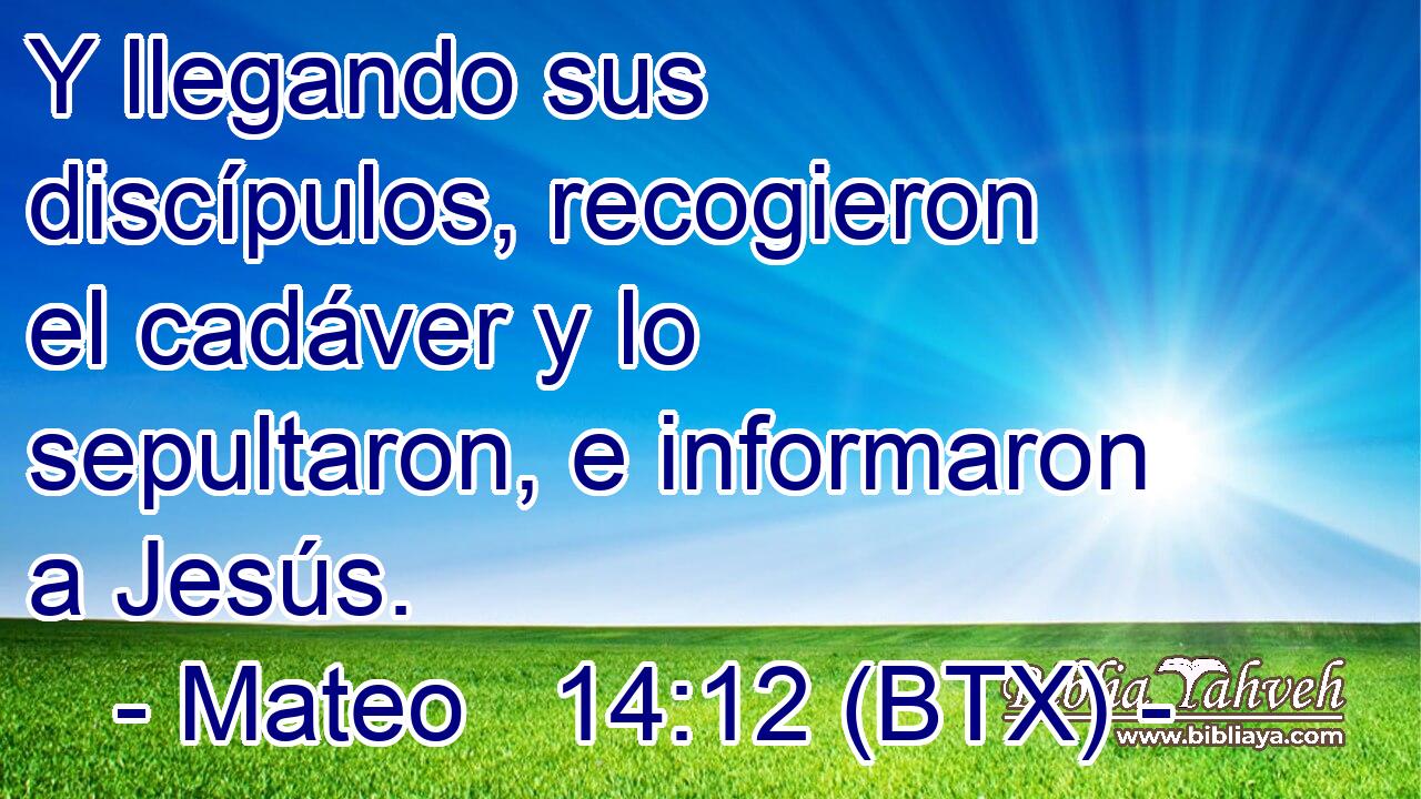 Y llegando sus discípulos, recogieron el cadáver y lo sepultaron, e informaron a Jesús.