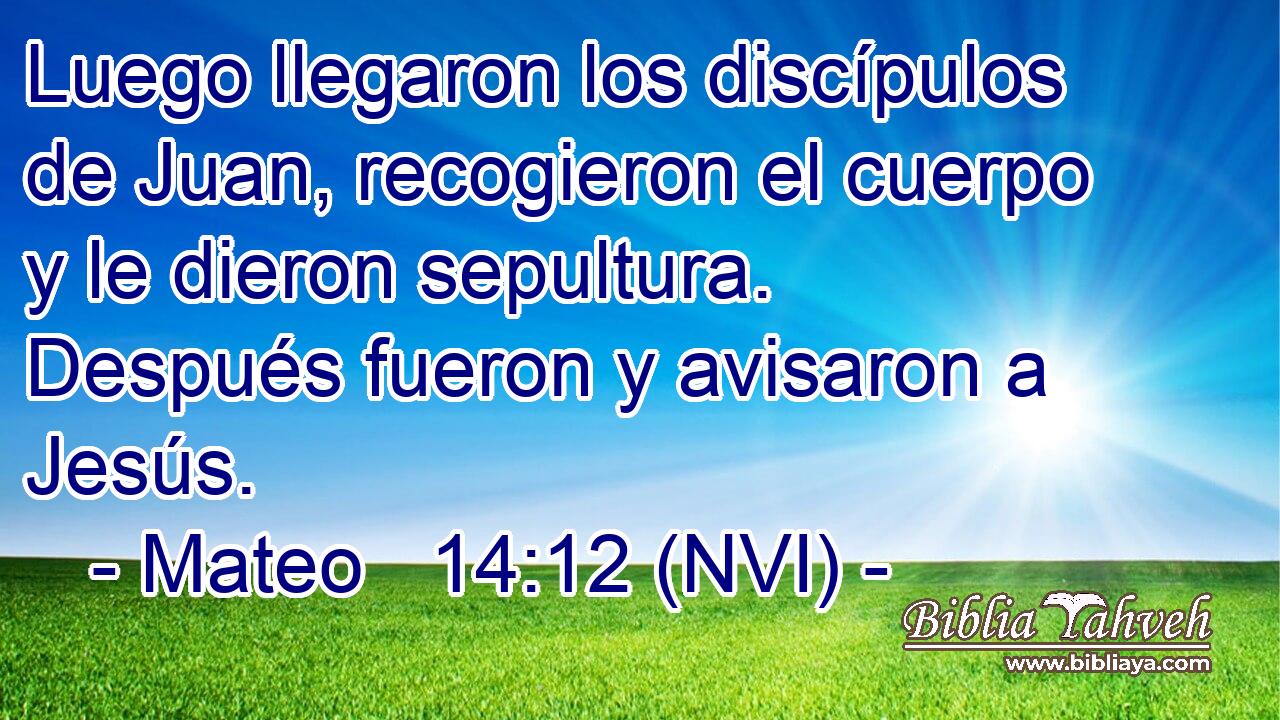  Luego llegaron los discípulos de Juan, recogieron el cuerpo y le dieron sepultura. Después fueron y avisaron a Jesús. 