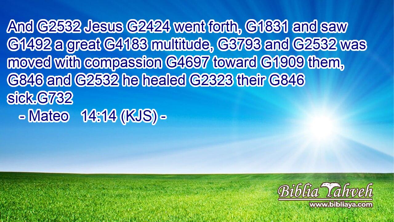 And G2532 Jesus G2424 went forth, G1831 and saw G1492 a great G4183 multitude, G3793 and G2532 was moved with compassion G4697 toward G1909 them, G846 and G2532 he healed G2323 their G846 sick.G732