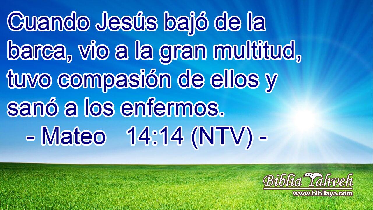 Cuando Jesús bajó de la barca, vio a la gran multitud, tuvo compasión de ellos y sanó a los enfermos.