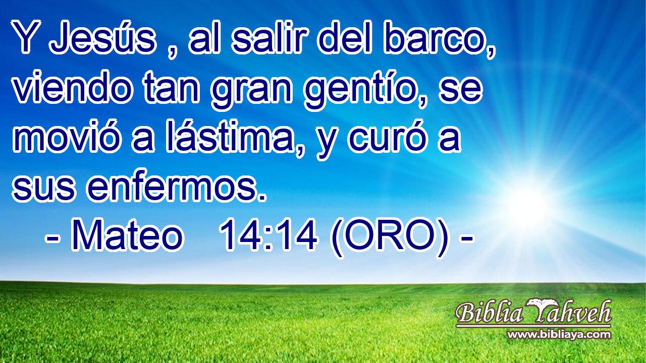  Y Jesús , al salir del barco, viendo tan gran gentío, se movió a lástima, y curó a sus enfermos. 