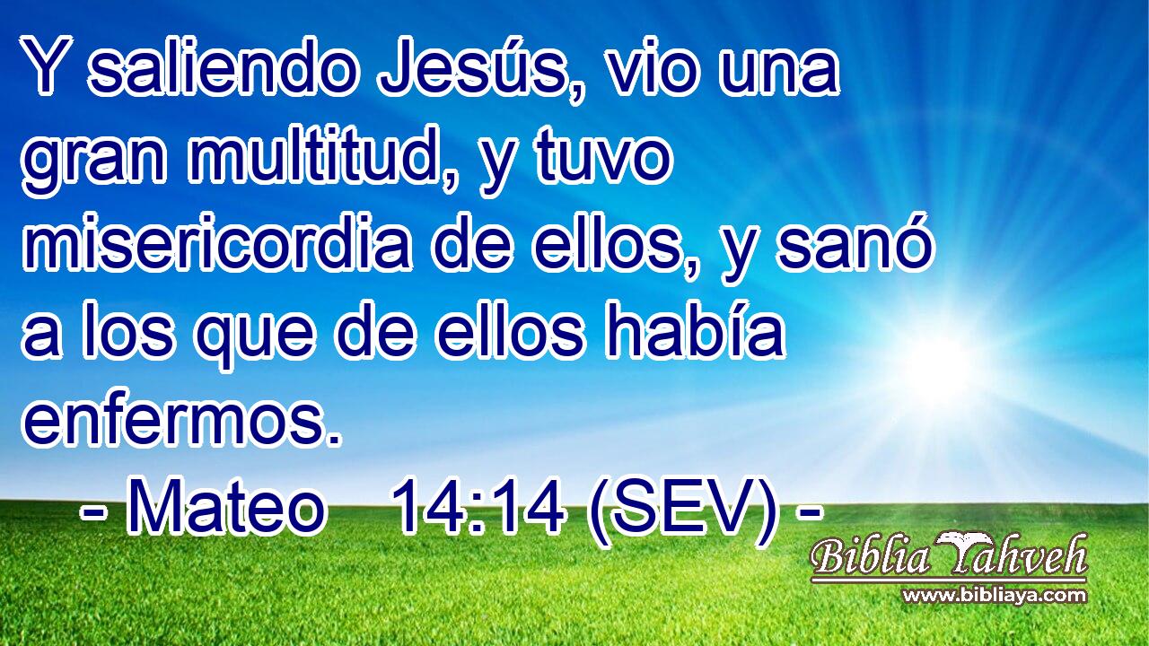 Y saliendo Jesús, vio una gran multitud, y tuvo misericordia de ellos, y sanó a los que de ellos había enfermos.