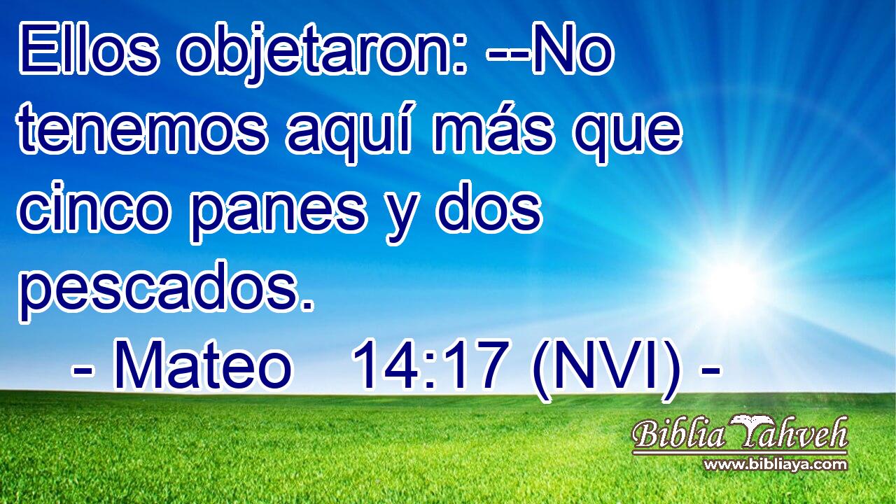  Ellos objetaron: --No tenemos aquí más que cinco panes y dos pescados. 
