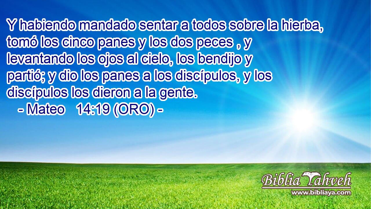  Y habiendo mandado sentar a todos sobre la hierba, tomó los cinco panes y los dos peces , y levantando los ojos al cielo, los bendijo y partió; y dio los panes a los discípulos, y los discípulos los dieron a la gente. 