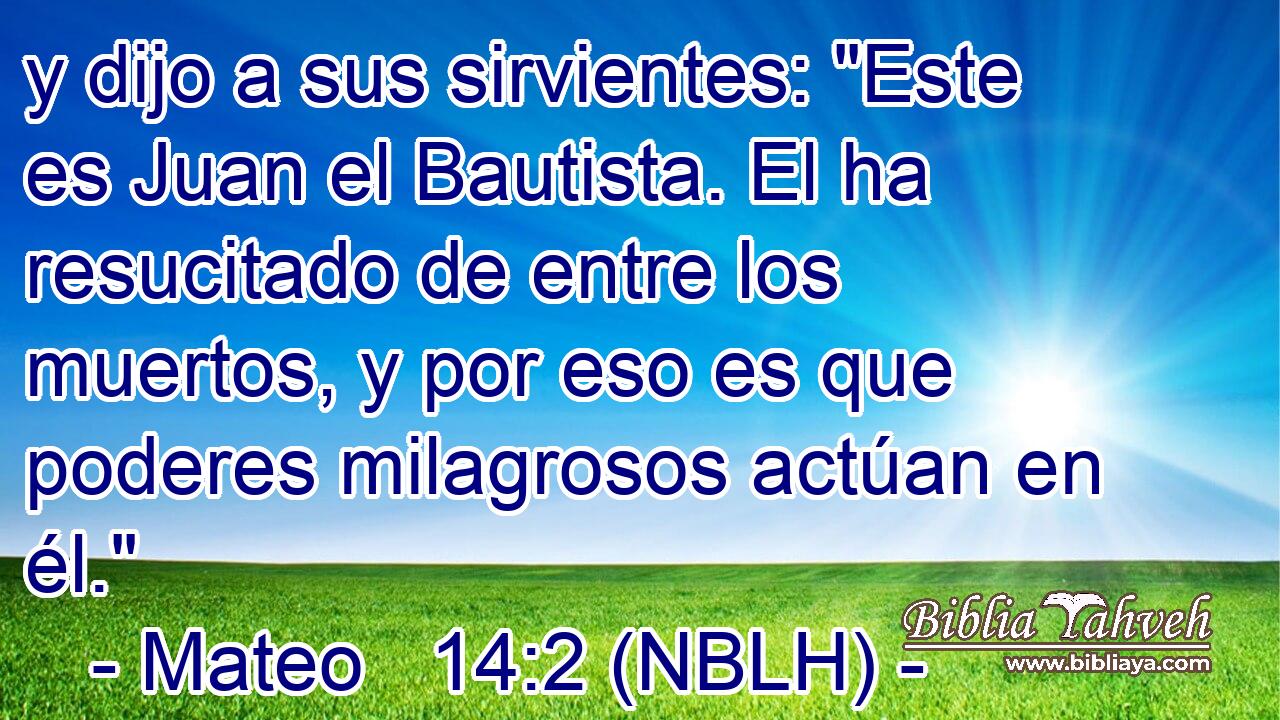  y dijo a sus sirvientes: 