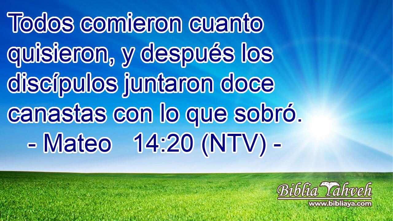 Todos comieron cuanto quisieron, y después los discípulos juntaron doce canastas con lo que sobró.