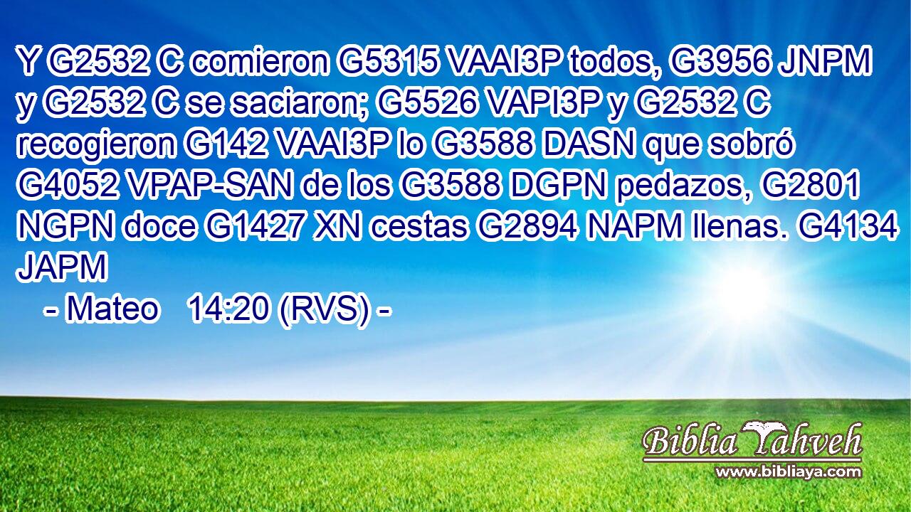 Y G2532 C comieron G5315 VAAI3P todos, G3956 JNPM y G2532 C se saciaron; G5526 VAPI3P y G2532 C recogieron G142 VAAI3P lo G3588 DASN que sobró G4052 VPAP-SAN de los G3588 DGPN pedazos, G2801 NGPN doce G1427 XN cestas G2894 NAPM llenas. G4134 JAPM 