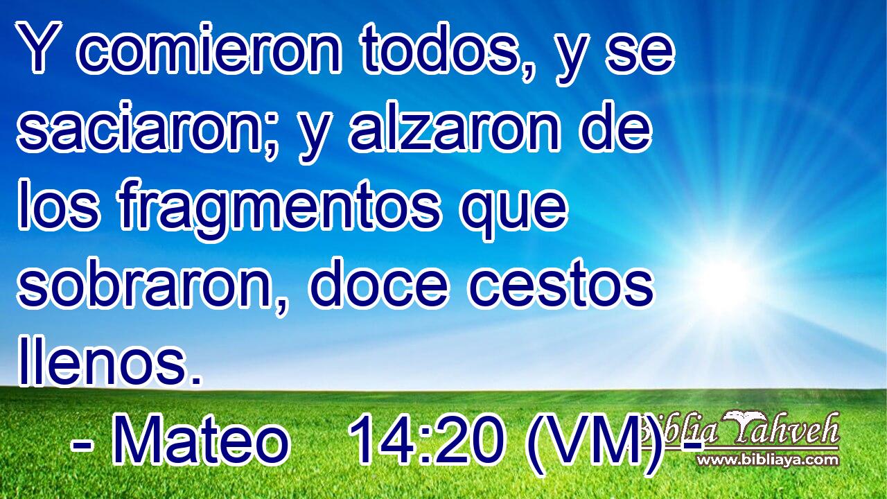  Y comieron todos, y se saciaron; y alzaron de los fragmentos que sobraron, doce cestos llenos. 