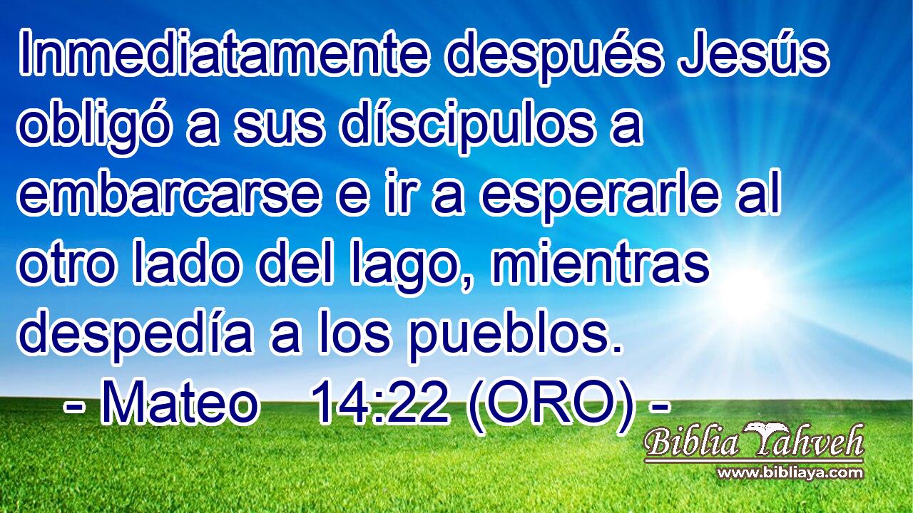  Inmediatamente después Jesús obligó a sus díscipulos a embarcarse e ir a esperarle al otro lado del lago, mientras despedía a los pueblos. 