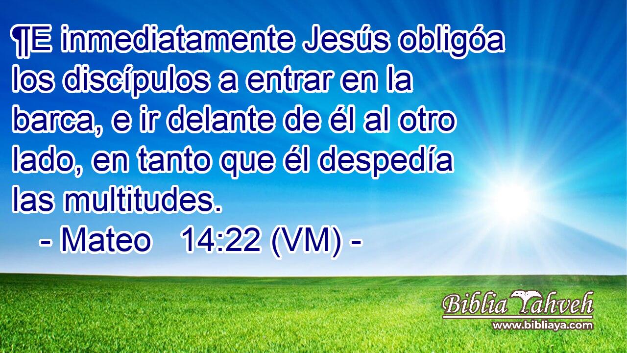  ¶E inmediatamente Jesús obligóa los discípulos a entrar en la barca, e ir delante de él al otro lado, en tanto que él despedía las multitudes. 