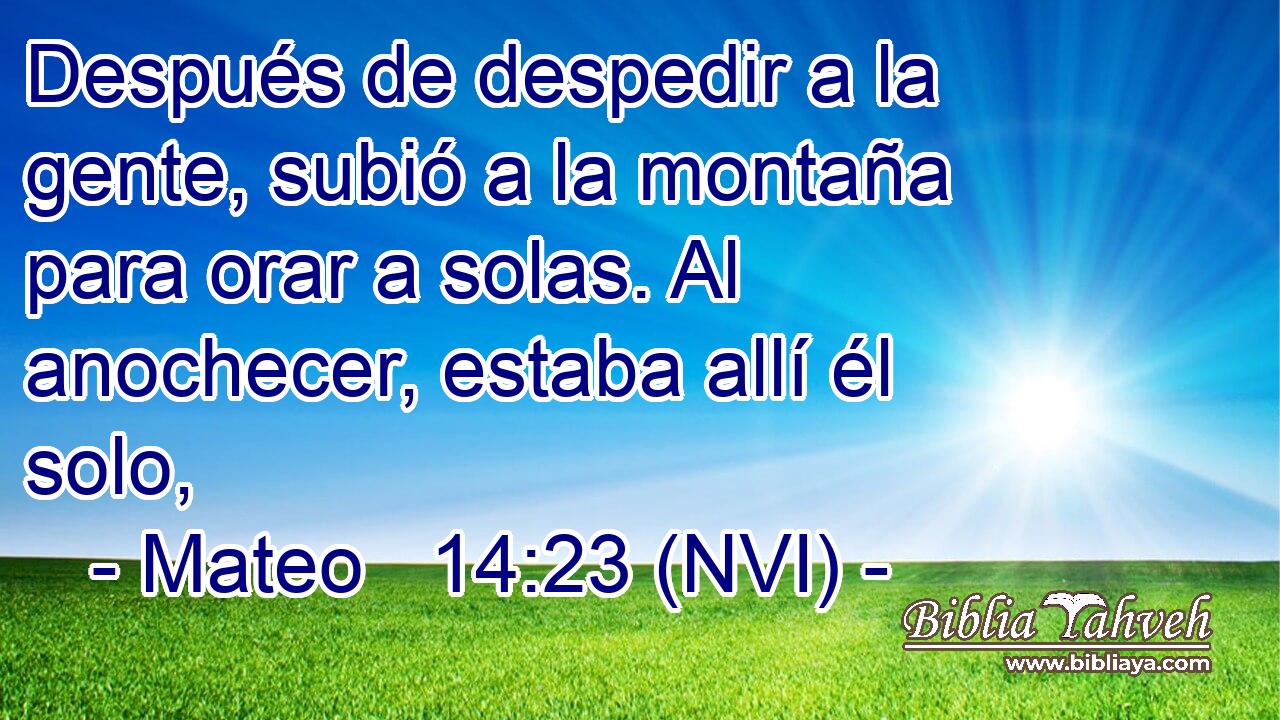  Después de despedir a la gente, subió a la montaña para orar a solas. Al anochecer, estaba allí él solo, 
