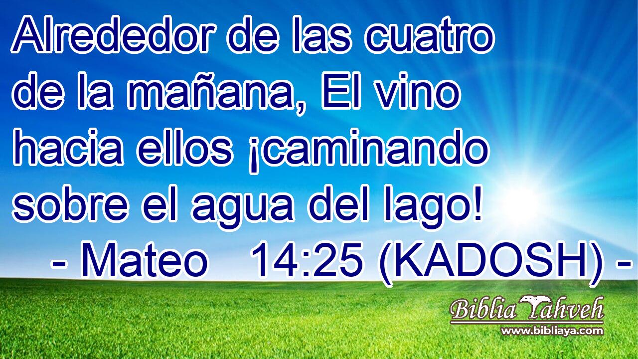  Alrededor de las cuatro de la mañana, El vino hacia ellos ¡caminando sobre el agua del lago! 