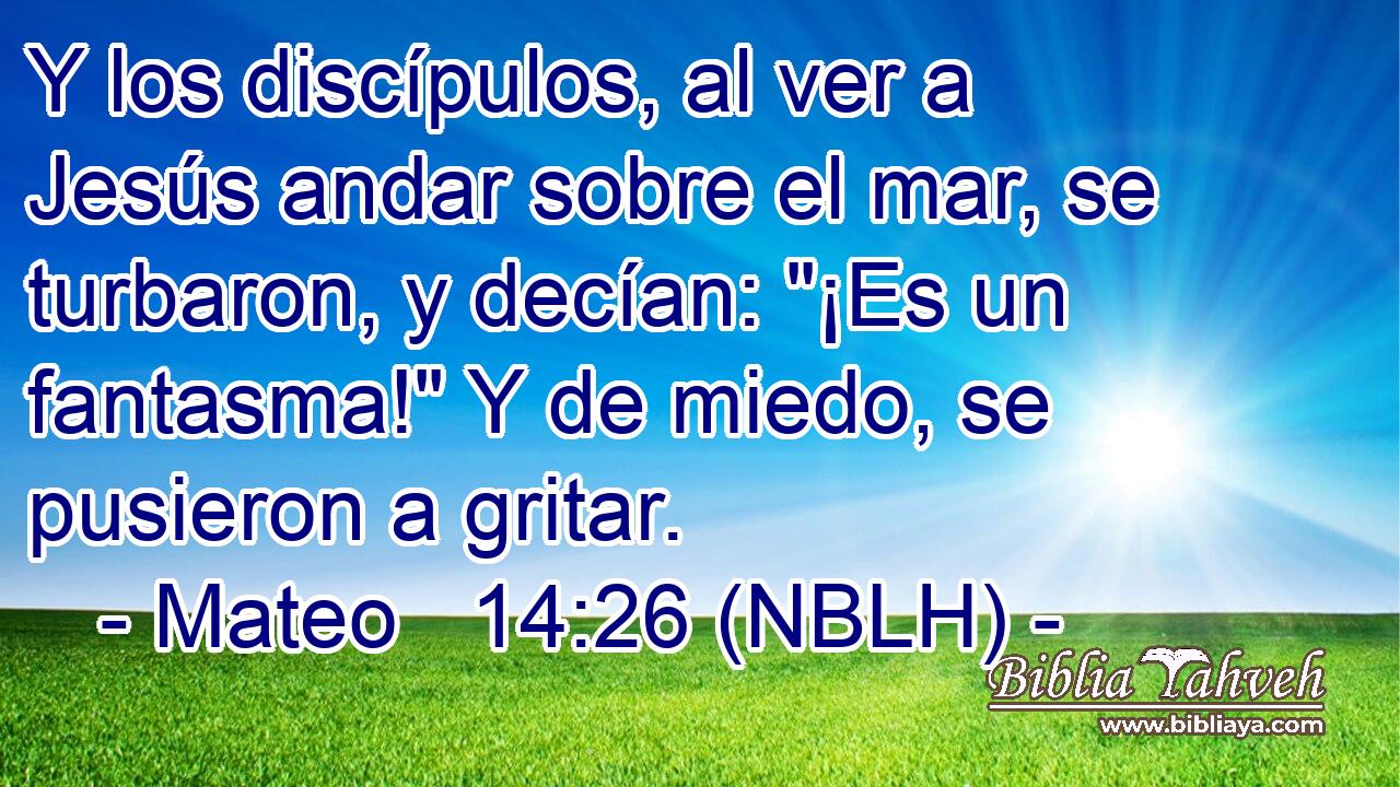  Y los discípulos, al ver a Jesús andar sobre el mar, se turbaron, y decían: 