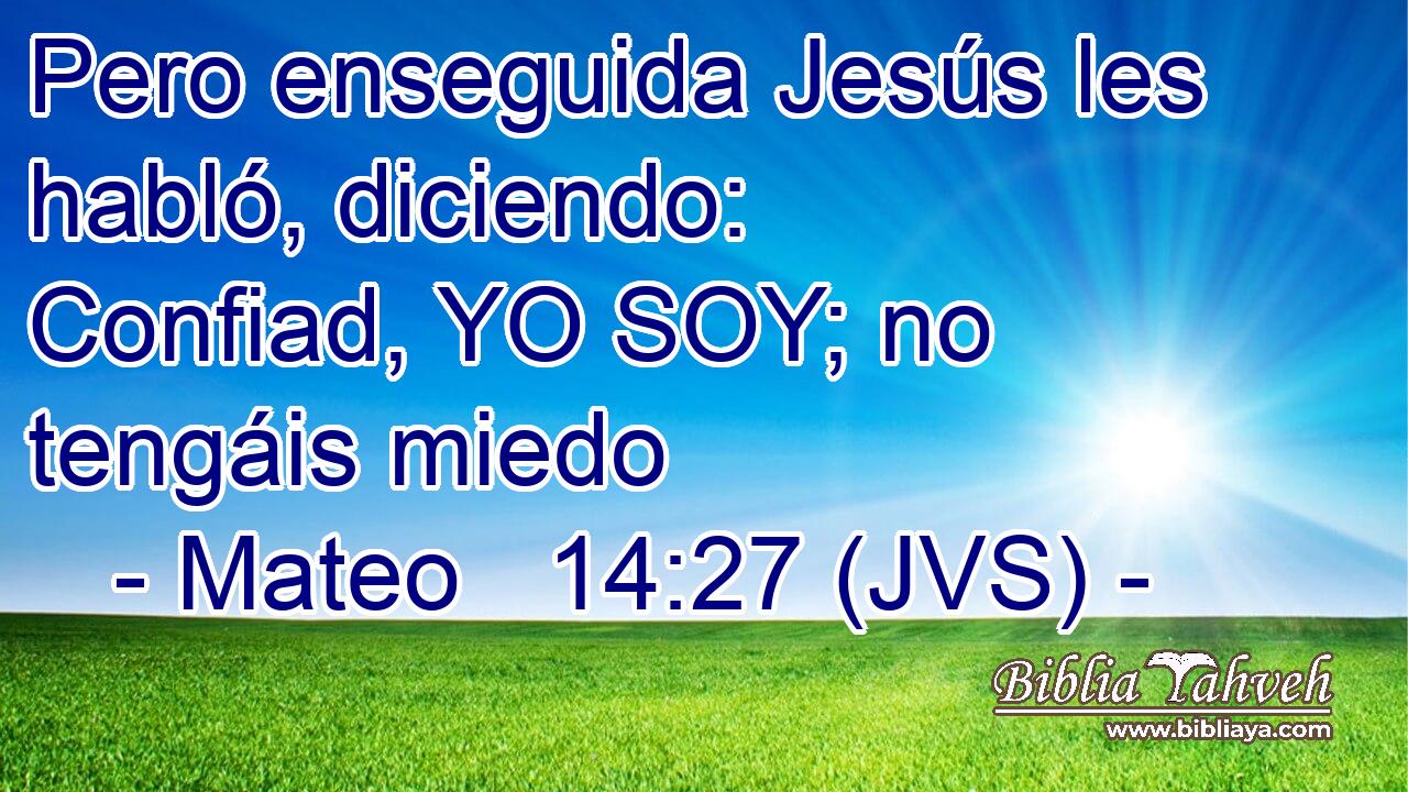 Pero enseguida Jesús les habló, diciendo: Confiad, YO SOY; no tengáis miedo