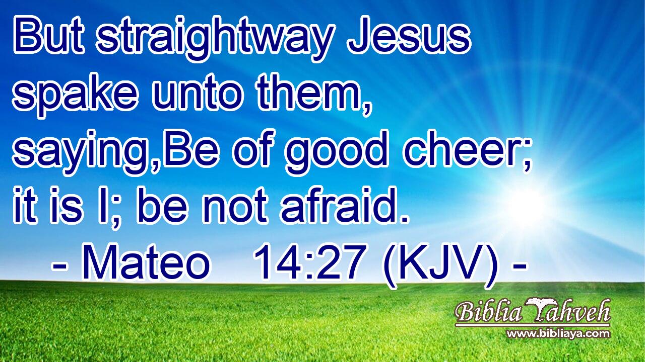 But straightway Jesus spake unto them, saying,Be of good cheer; it is I; be not afraid.