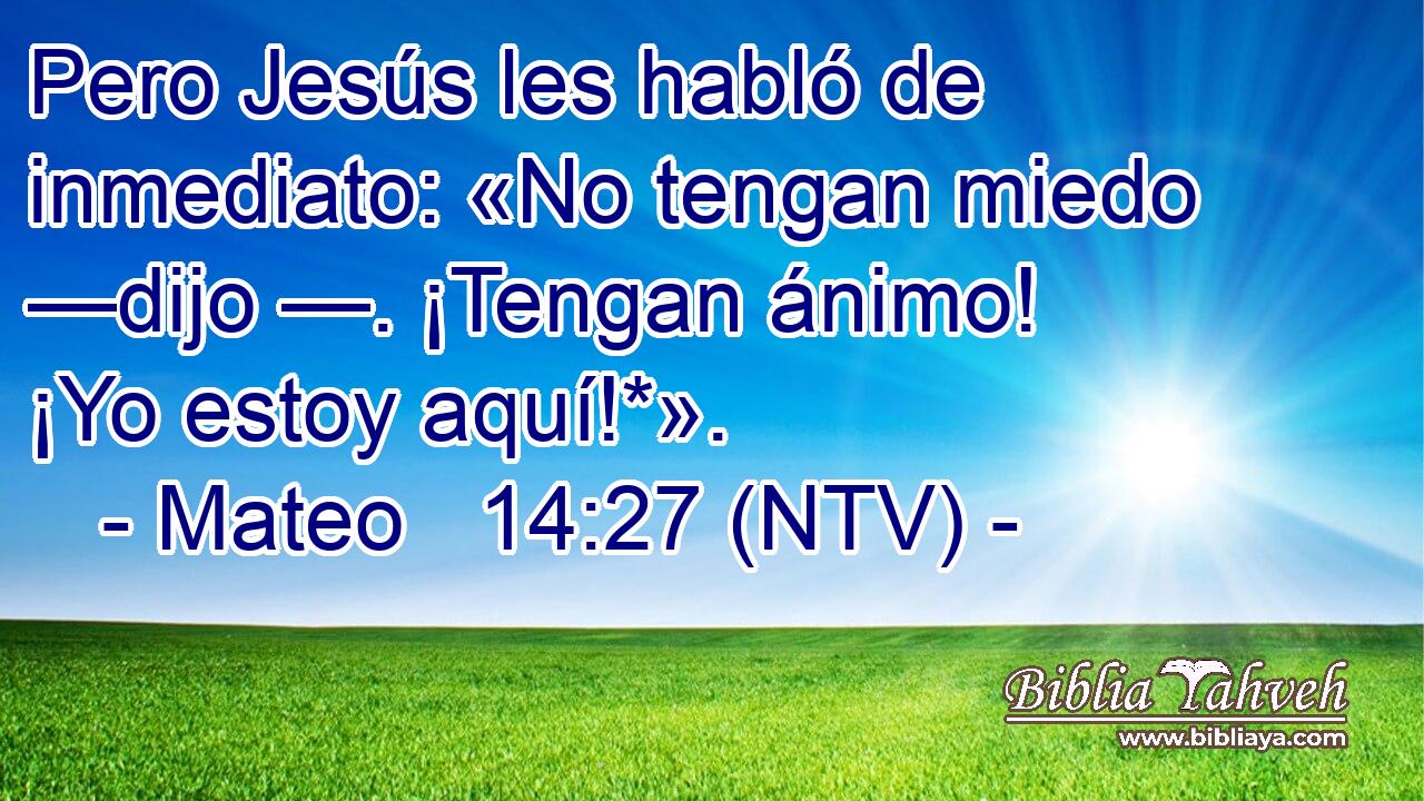 Pero Jesús les habló de inmediato: «No tengan miedo —dijo —. ¡Tengan ánimo! ¡Yo estoy aquí!*».