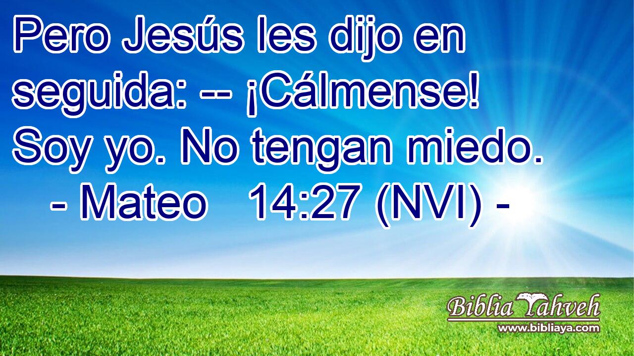  Pero Jesús les dijo en seguida: -- ¡Cálmense! Soy yo. No tengan miedo. 
