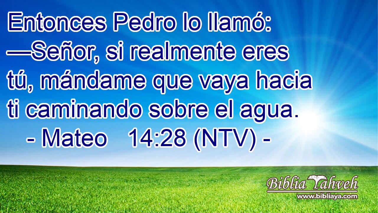 Entonces Pedro lo llamó: —Señor, si realmente eres tú, mándame que vaya hacia ti caminando sobre el agua.