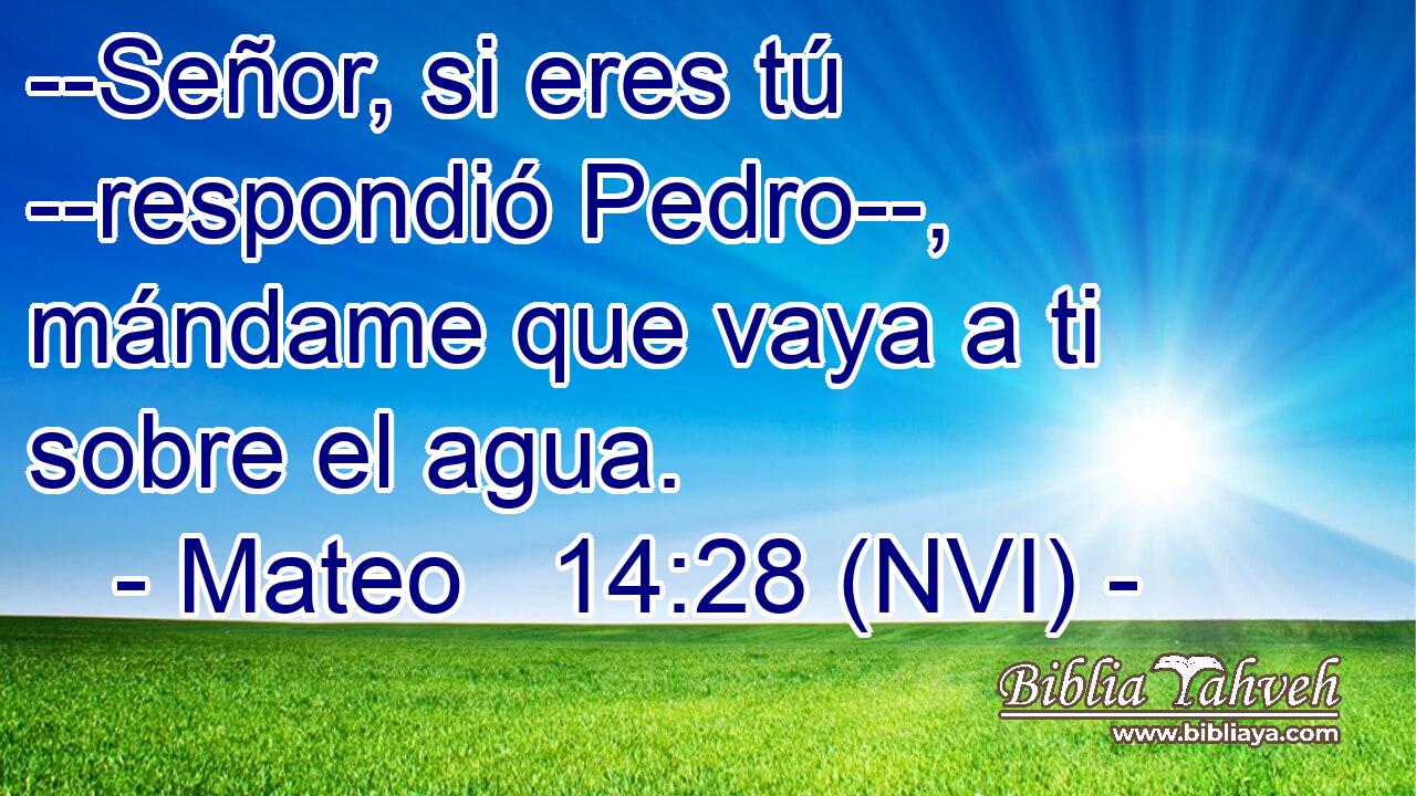  --Señor, si eres tú --respondió Pedro--, mándame que vaya a ti sobre el agua. 
