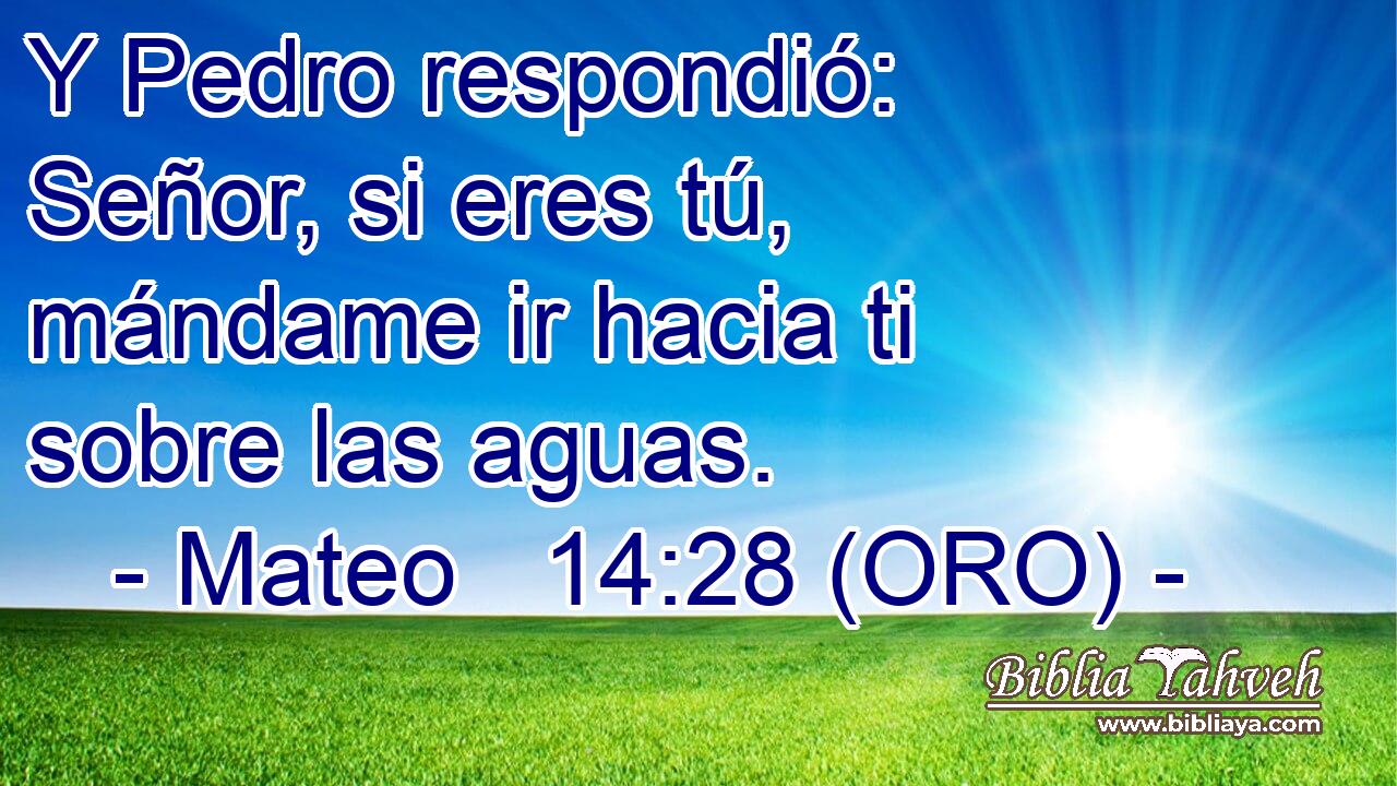  Y Pedro respondió: Señor, si eres tú, mándame ir hacia ti sobre las aguas. 