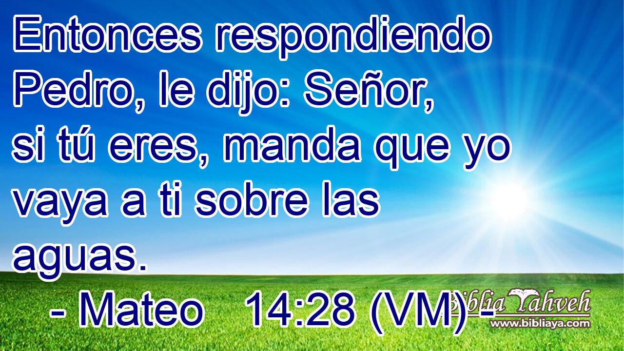  Entonces respondiendo Pedro, le dijo: Señor, si tú eres, manda que yo vaya a ti sobre las aguas. 