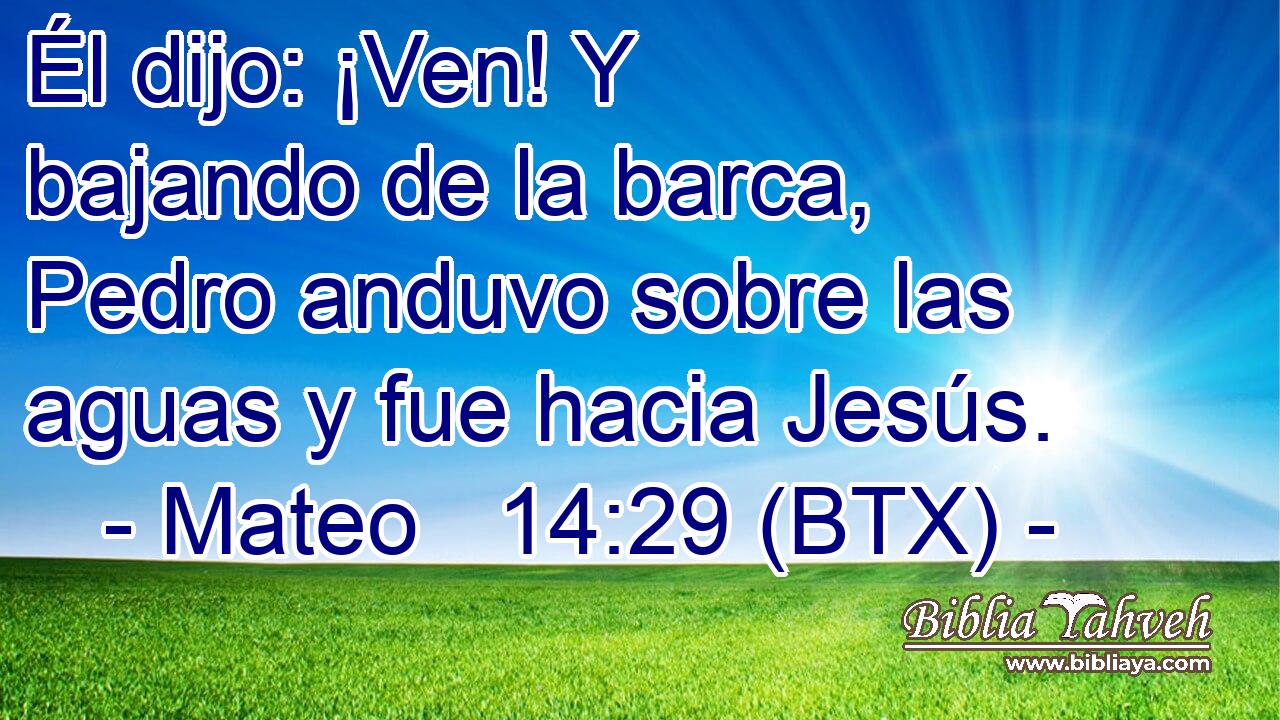 Él dijo: ¡Ven! Y bajando de la barca, Pedro anduvo sobre las aguas y fue hacia Jesús.