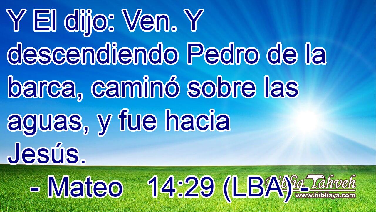 Y El dijo: Ven. Y descendiendo Pedro de la barca, caminó sobre las aguas, y fue hacia Jesús.