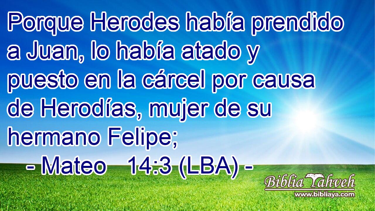 Porque Herodes había prendido a Juan, lo había atado y puesto en la cárcel por causa de Herodías, mujer de su hermano Felipe;