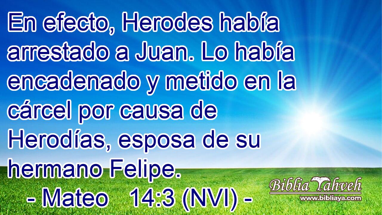  En efecto, Herodes había arrestado a Juan. Lo había encadenado y metido en la cárcel por causa de Herodías, esposa de su hermano Felipe. 