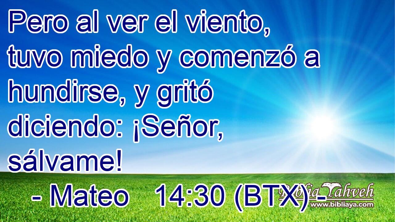 Pero al ver el viento, tuvo miedo y comenzó a hundirse, y gritó diciendo: ¡Señor, sálvame!