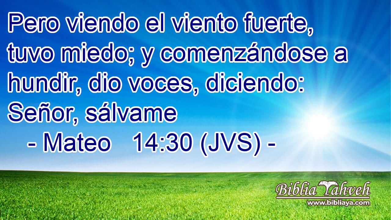 Pero viendo el viento fuerte, tuvo miedo; y comenzándose a hundir, dio voces, diciendo: Señor, sálvame