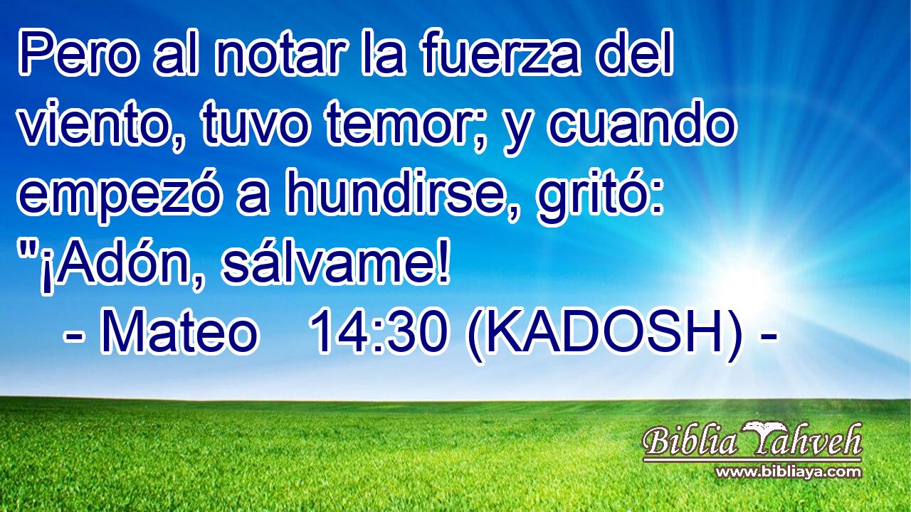 Pero al notar la fuerza del viento, tuvo temor; y cuando empezó a hundirse, gritó: 