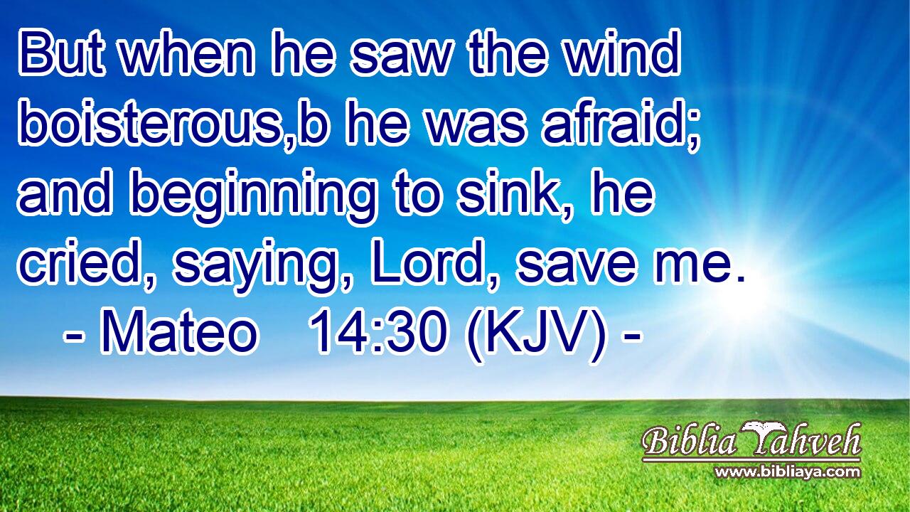 But when he saw the wind boisterous,b he was afraid; and beginning to sink, he cried, saying, Lord, save me.