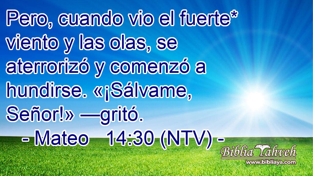 Pero, cuando vio el fuerte* viento y las olas, se aterrorizó y comenzó a hundirse. «¡Sálvame, Señor!» —gritó.