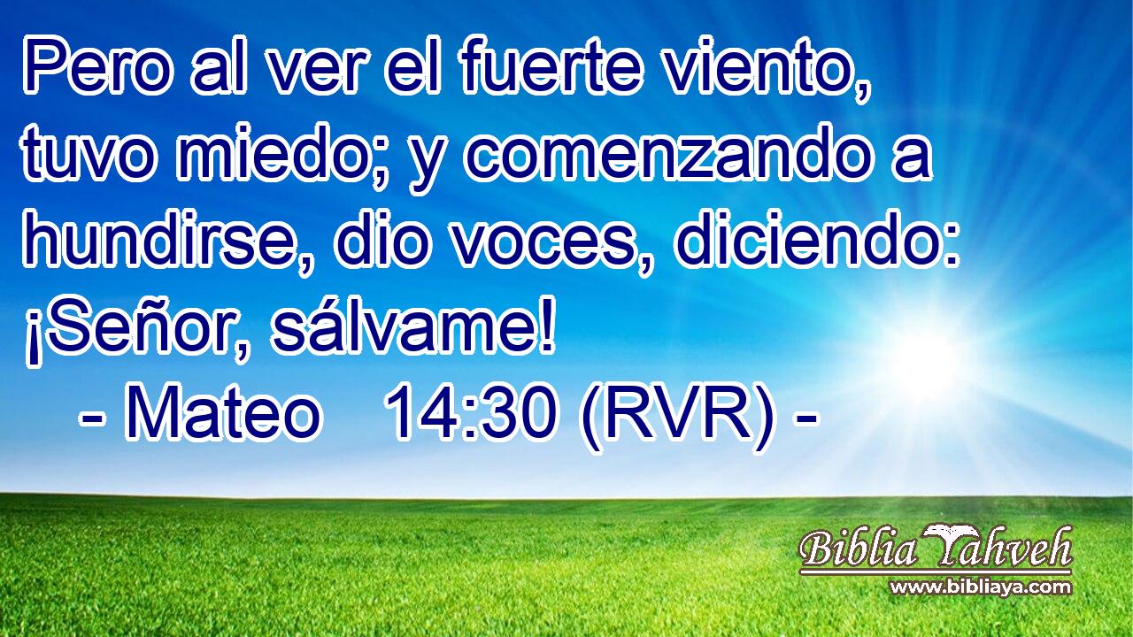 Pero al ver el fuerte viento, tuvo miedo; y comenzando a hundirse, dio voces, diciendo: ¡Señor, sálvame!