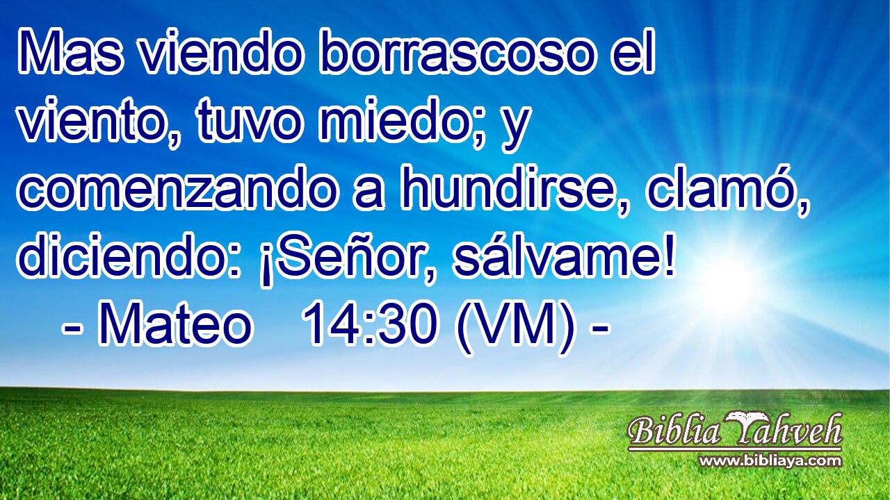  Mas viendo borrascoso el viento, tuvo miedo; y comenzando a hundirse, clamó, diciendo: ¡Señor, sálvame! 