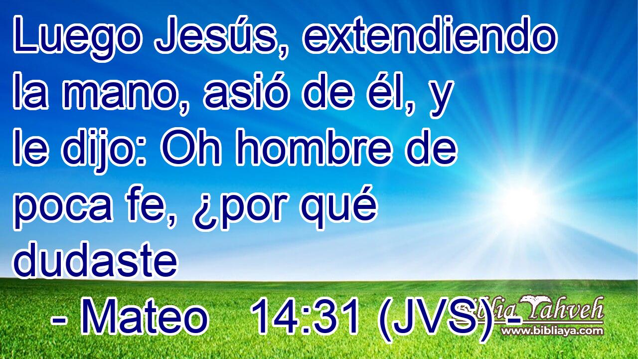 Luego Jesús, extendiendo la mano, asió de él, y le dijo: Oh hombre de poca fe, ¿por qué dudaste