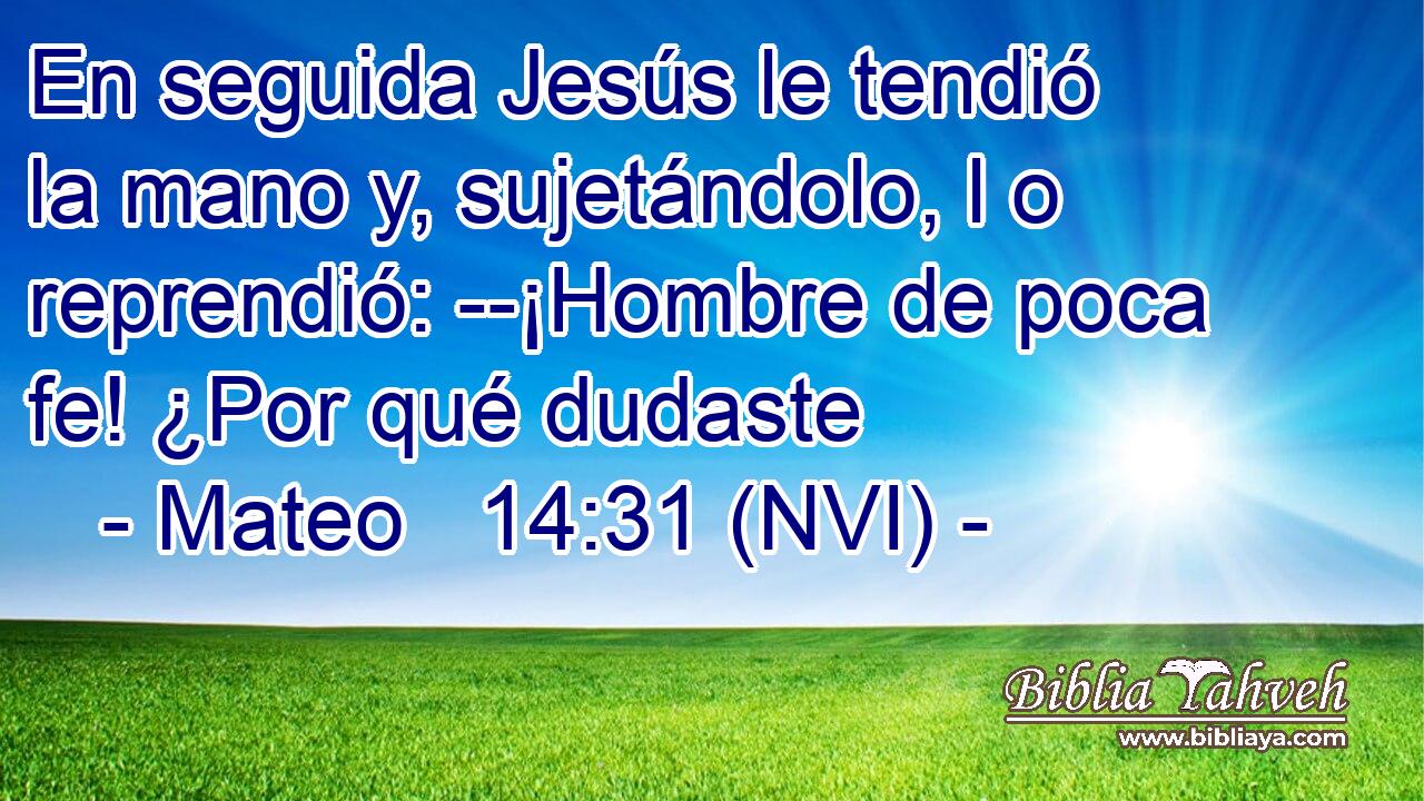  En seguida Jesús le tendió la mano y, sujetándolo, l o reprendió: --¡Hombre de poca fe! ¿Por qué dudaste 