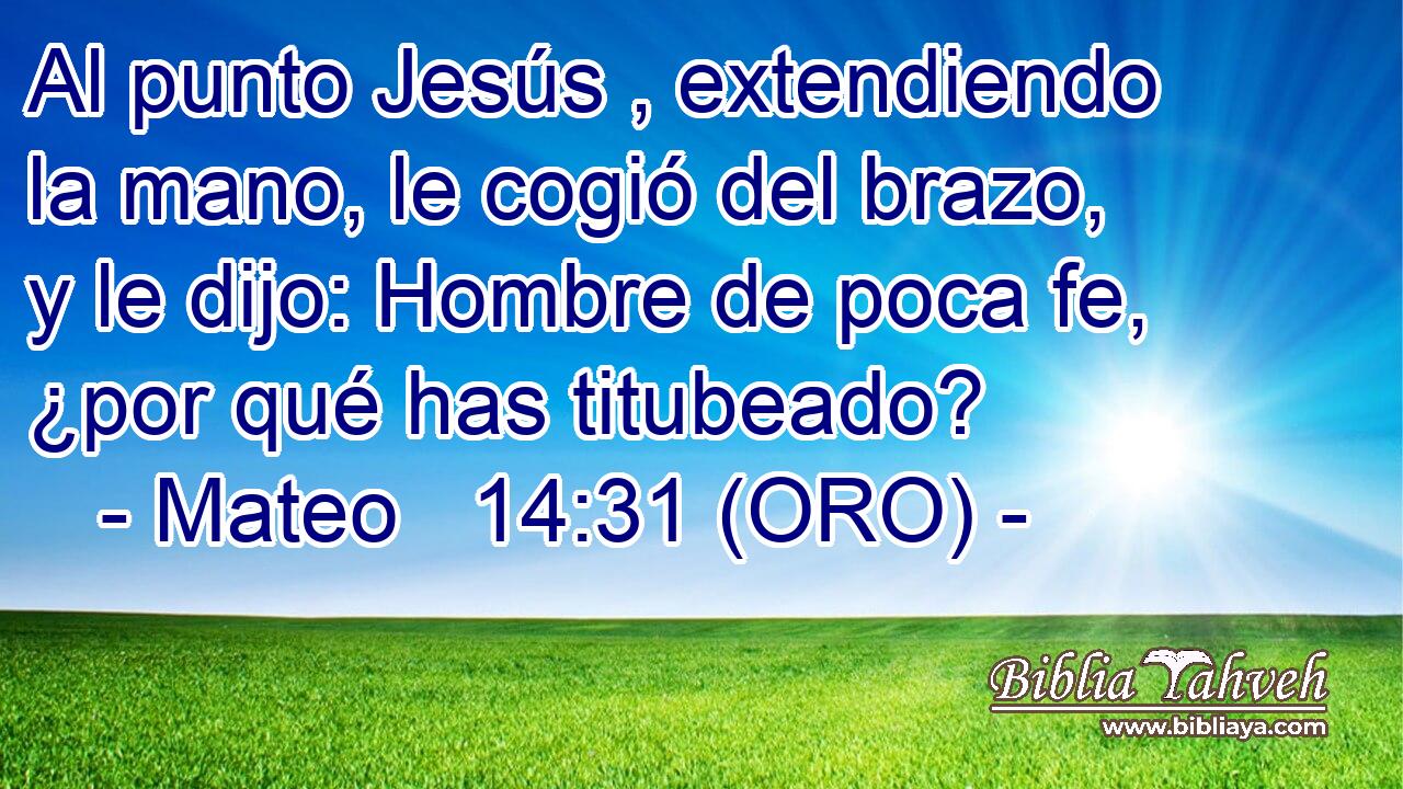  Al punto Jesús , extendiendo la mano, le cogió del brazo, y le dijo: Hombre de poca fe, ¿por qué has titubeado? 