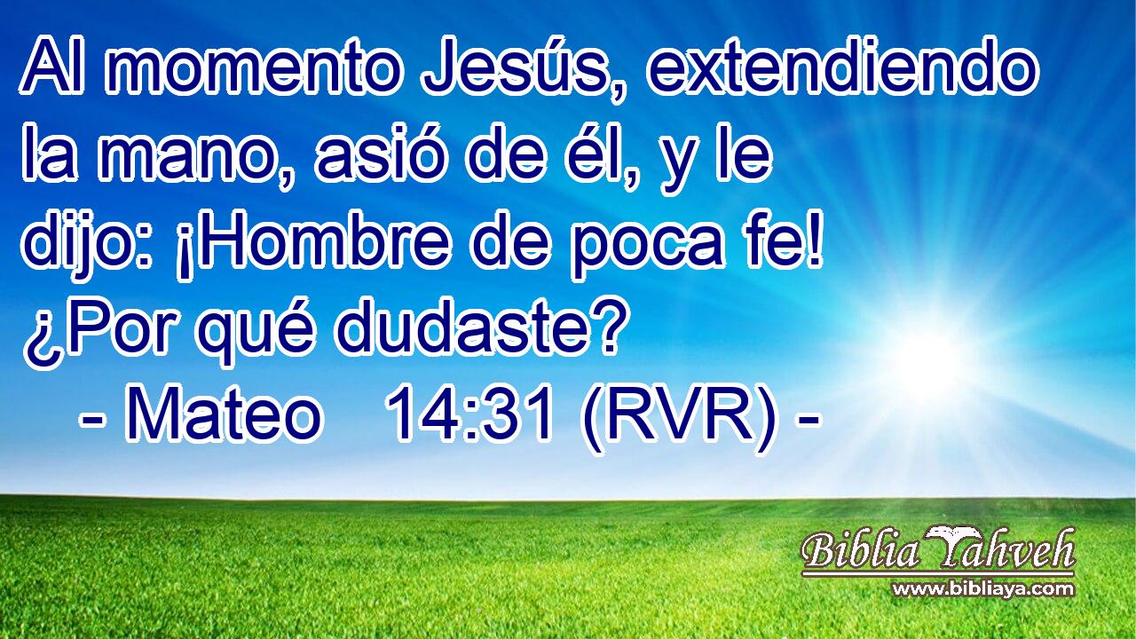 Al momento Jesús, extendiendo la mano, asió de él, y le dijo: ¡Hombre de poca fe! ¿Por qué dudaste?