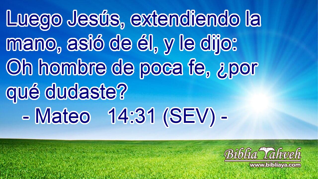 Luego Jesús, extendiendo la mano, asió de él, y le dijo: Oh hombre de poca fe, ¿por qué dudaste?