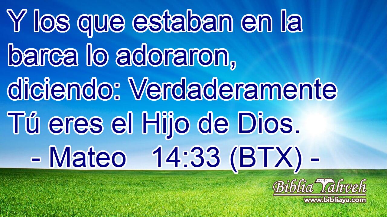 Y los que estaban en la barca lo adoraron, diciendo: Verdaderamente Tú eres el Hijo de Dios.