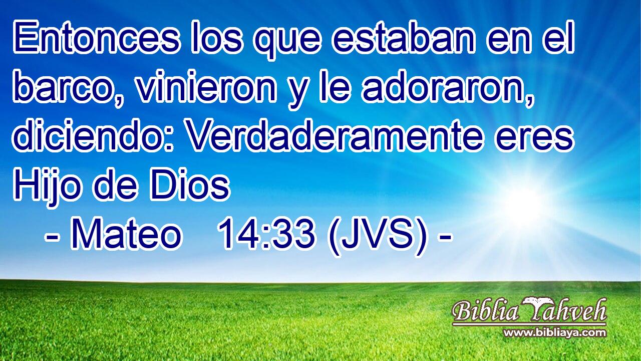 Entonces los que estaban en el barco, vinieron y le adoraron, diciendo: Verdaderamente eres Hijo de Dios
