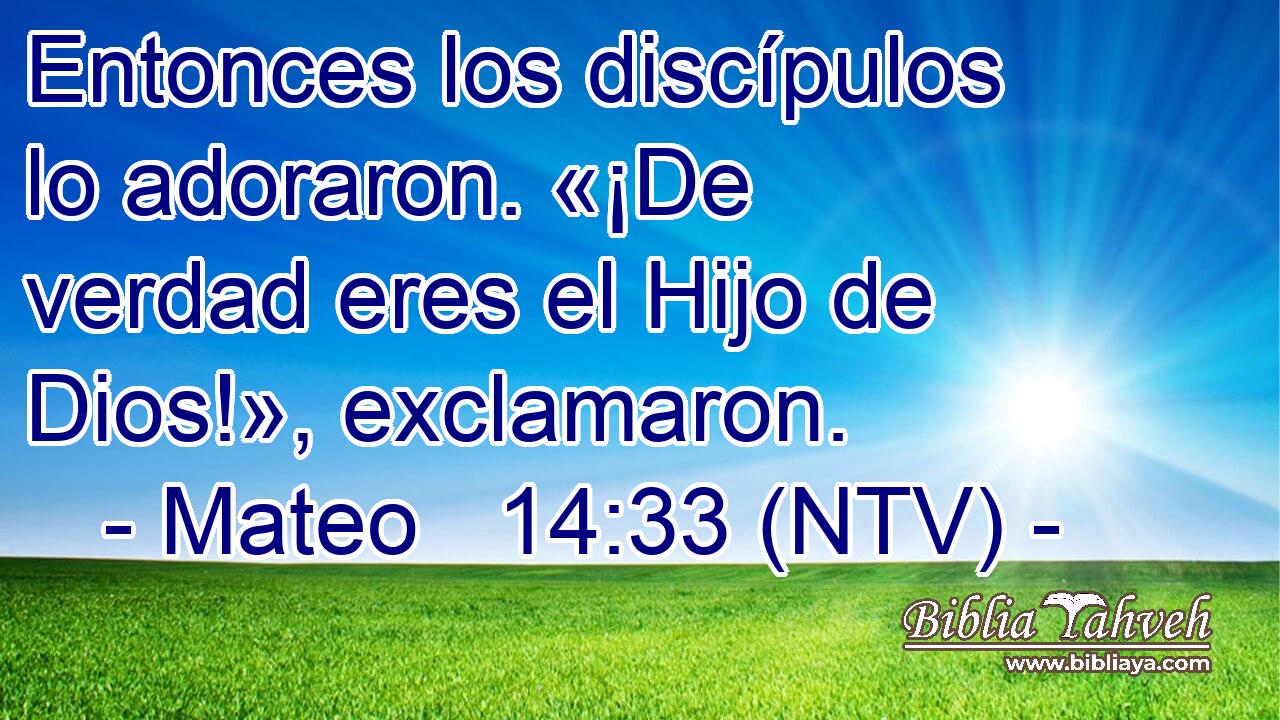 Entonces los discípulos lo adoraron. «¡De verdad eres el Hijo de Dios!», exclamaron.