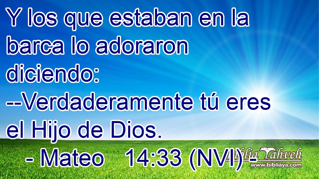  Y los que estaban en la barca lo adoraron diciendo: --Verdaderamente tú eres el Hijo de Dios. 