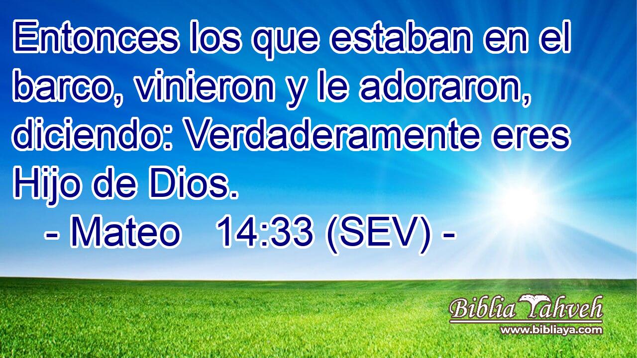 Entonces los que estaban en el barco, vinieron y le adoraron, diciendo: Verdaderamente eres Hijo de Dios.