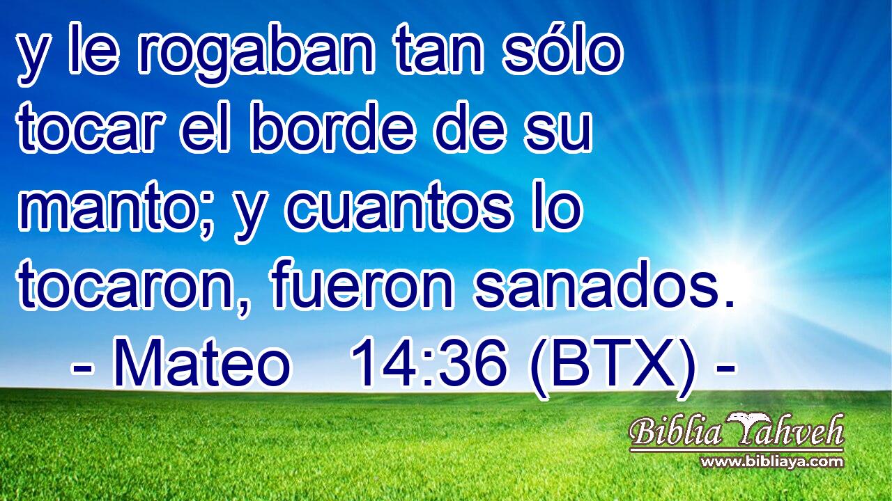 y le rogaban tan sólo tocar el borde de su manto; y cuantos lo tocaron, fueron sanados.